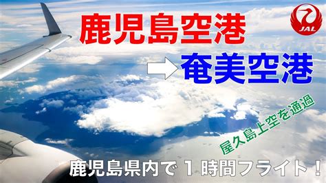 鹿児島から奄美 飛行機 ～空の旅と島の魅力を語る～