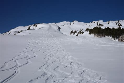 斑尾高原スキー場 ツアー 雪の妖精が踊る冬の夢