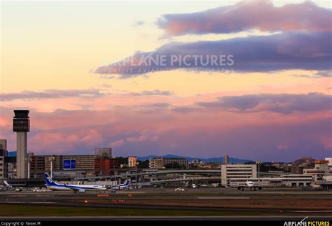 伊丹空港から大分空港：空の旅と地上の繋がり